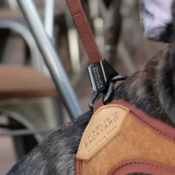 Easy Adjustable Dog Harness - Image 5