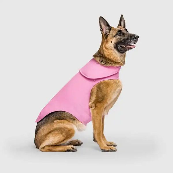 Weighted Calming Dog Vest - Image 3